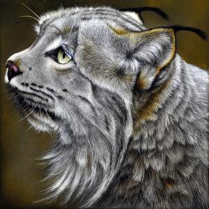 Jurek Mystic Lynx